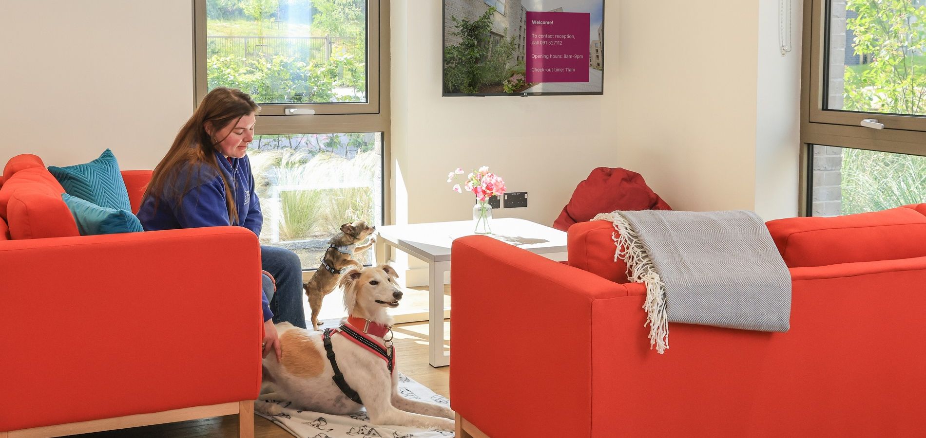 pet friendly accommodation 7