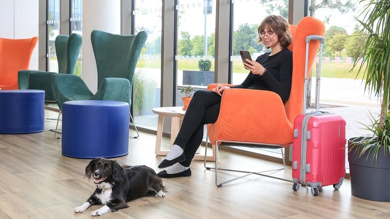pet friendly accommodation 3
