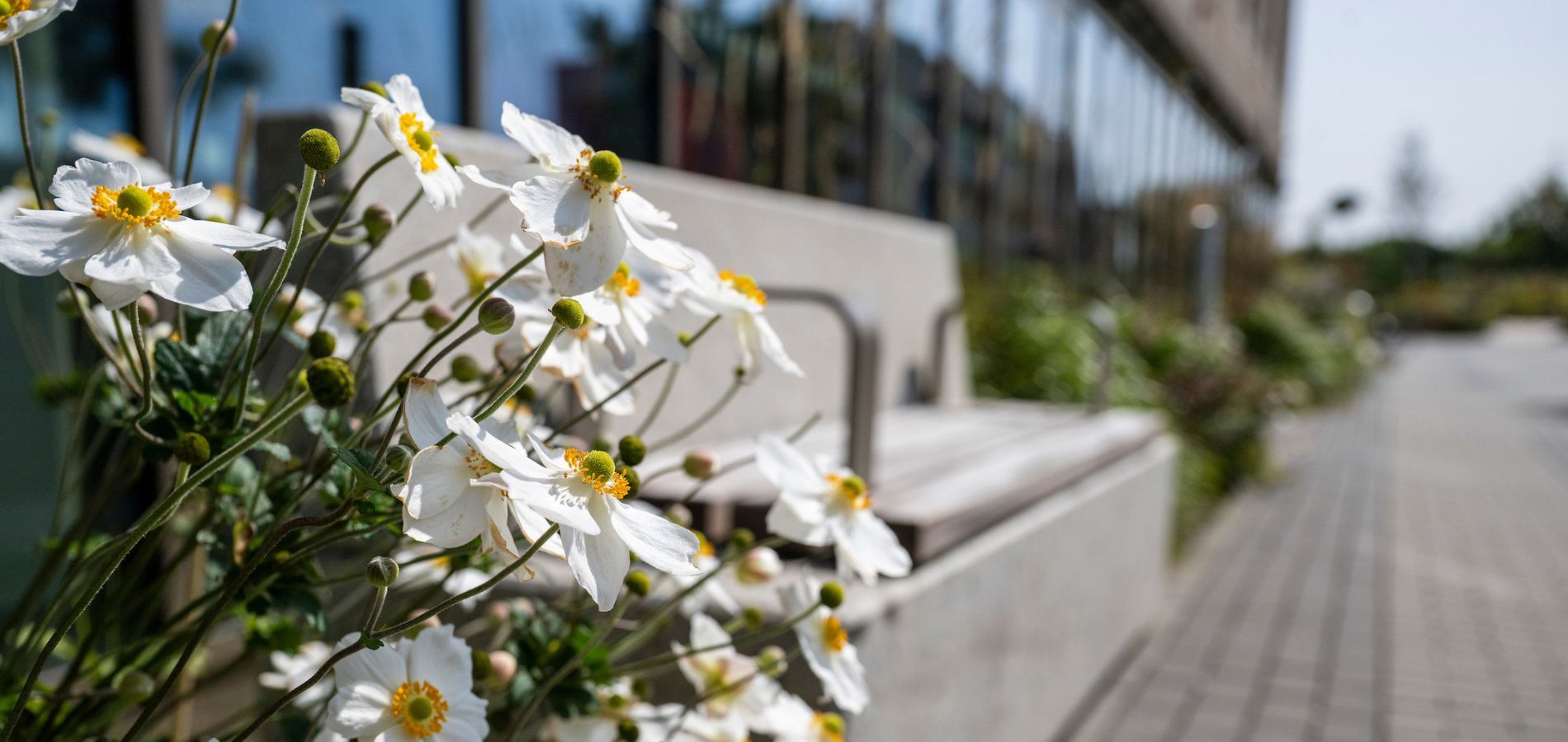 flowers dunlin village