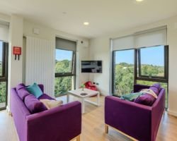 Bookings open for next summer!